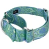 Country Brook Petz 2 Inch Green Paisley Martingale Dog Collar -Pet Supplies Online GUEST 8f0f2d8d 0b44 4e58 9f3a 1776402eaeba