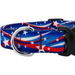 Country Brook Petz Star Spangled Deluxe Dog Collar And Leash -Pet Supplies Online GUEST 8f2d5f1a 426a 43c6 b2b3 830fdf32ee17