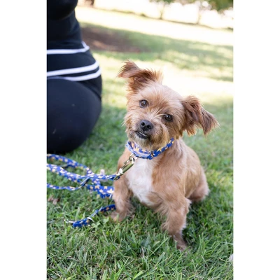 Country Brook Petz Duty Honor Country Martingale Dog Collar (1/2 Inch, 2XS) 3 Country Brook Petz Duty Honor Country Martingale Dog Collar (1/2 Inch, 2XS)