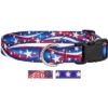 Country Brook Petz Deluxe Dog Collar - Americana Collection - Made In The U.S.A. -Pet Supplies Online GUEST 8f6aa052 e446 4604 b72b 40f378a176f3