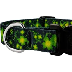 Country Brook Petz Deluxe Dog Collar - Irish Pride Collection -Pet Supplies Online GUEST 8fa15961 b1da 4319 86d9 4fa5d932b5c1