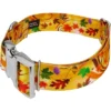 Country Brook Petz HossFit Jr Wide Premium Dog Collar - Awesome Autumn Collection -Pet Supplies Online GUEST 907ecb6c f7e2 4462 949c 1c55c1c3429e