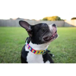 Country Brook Petz Deluxe Rainbow Hearts Dog Collar - Made In The U.S.A. -Pet Supplies Online GUEST 908ed219 a65e 4210 880d b360cd6b2ac8