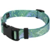 Country Brook Petz Deluxe Green Paisley Dog Collar - Made In The U.S.A. (3/4 Inch, Small)