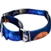 Country Brook Petz Galactic Neighbors Martingale Dog Collar