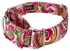 Country Brook Petz 1 1/2 Inch Pink Paisley Martingale Dog Collar 14 Country Brook Petz 1 1/2 Inch Pink Paisley Martingale Dog Collar -Pet Supplies Online GUEST 918bc33d bf0b 454f 8aba 4c90f6914e04