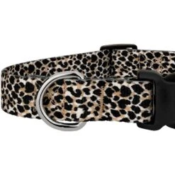 Country Brook Petz Deluxe Cheetah Dog Collar - Made In The U.S.A (1 Inch, Medium) -Pet Supplies Online GUEST 9229298b fa9b 4420 b49a 82d3668b83f4