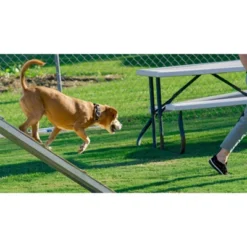 Country Brook Petz Woodland Camo Martingale Dog Collar -Pet Supplies Online GUEST 922be64b 9e27 4d7d b92e f623f38b3209