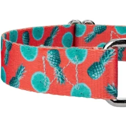 Country Brook Petz Tropical Tango Martingale Dog Collar (1/2 Inch, Extra Small) -Pet Supplies Online GUEST 9286ffcd 7c95 4230 b48e e9a665d62a04 1