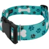 Country Brook Petz HossFit Jr Wide Deluxe Dog Collar - Dog's Life Collection