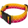 Country Brook Petz HossFit Jr Wide Deluxe Dog Collar - Abstract Collection