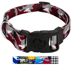 Country Brook Petz Deluxe Dog Collar - Sports And Athletics Collection - Made In The U.S.A. -Pet Supplies Online GUEST 943ef9c7 3c0c 4364 a278 91244c802032