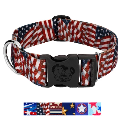 Country Brook Petz HossFit Jr Wide Deluxe Dog Collar - Americana Collection 8 Country Brook Petz HossFit Jr Wide Deluxe Dog Collar - Americana Collection - Image 6