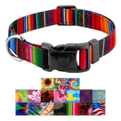 Country Brook Petz Deluxe Reflective Dog Collar -Pet Supplies Online GUEST 94e55996 b479 49b1 8486 d58e0512e643