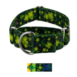 Country Brook Petz HossFit Jr Wide Martingale Dog Collar - Irish Pride 19 Country Brook Petz HossFit Jr Wide Martingale Dog Collar - Irish Pride -Pet Supplies Online GUEST 94fdadd1 9f71 4672 b24f d890e79cb8e7