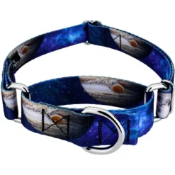 Country Brook Petz Galactic Neighbors Martingale Dog Collar -Pet Supplies Online GUEST 952d0384 84bf 4956 934d 361d34f4e6b8