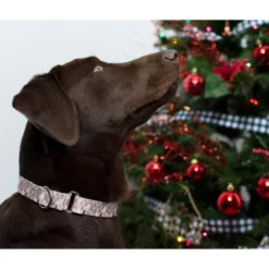 Country Brook Petz Woodland Christmas Martingale Dog Collar -Pet Supplies Online GUEST 953ec100 c1f1 461d 9813 fa474e80a22c