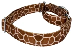 Country Brook Petz Giraffe Martingale Dog Collar -Pet Supplies Online GUEST 95b3e6a2 00a9 4452 96a5 a31b5627a311