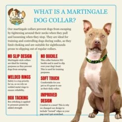 Country Brook Petz HossFit Jr Wide Martingale Dog Collar - Irish Pride 14 Country Brook Petz HossFit Jr Wide Martingale Dog Collar - Irish Pride -Pet Supplies Online GUEST 96090860 9711 460f a447 67b2b4bae810