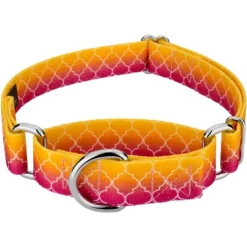 Country Brook Petz Fabulous Ombre Martingale Dog Collar -Pet Supplies Online GUEST 9725a5a9 50ec 463c 8a83 d71be3d67836