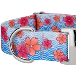Country Brook Petz HossFit Jr Wide Premium Dog Collar - Spring Collection 15 Country Brook Petz HossFit Jr Wide Premium Dog Collar - Spring Collection -Pet Supplies Online GUEST 9762b661 4a6d 4cc4 8d90 561f6092f318