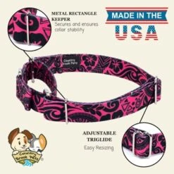 Country Brook Petz Martingale Dog Collar - Attitude Collection -Pet Supplies Online GUEST 976e3fa7 1d8f 46fb 8087 9595aeb34793