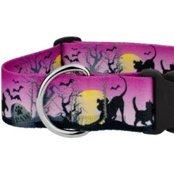 Country Brook Petz HossFit Jr Wide Deluxe Dog Collar - Halloween Collection -Pet Supplies Online GUEST 98154272 ef30 48e2 bb8a 34389ec3ab91