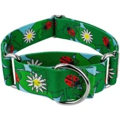Country Brook Petz 1 1/2 Inch Ladybug Picnic Martingale Dog Collar -Pet Supplies Online GUEST 997318c2 afc4 4fae 87e2 999a493c764a