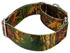 Country Brook Petz 1 1/2 Inch Southern Forest Camo Martingale Dog Collar 13 Country Brook Petz 1 1/2 Inch Southern Forest Camo Martingale Dog Collar -Pet Supplies Online GUEST 9a3dd452 7290 414b 9f4a 488687da653f