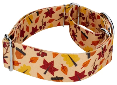 Country Brook Petz 1 1/2 Inch Fall Foliage Martingale Dog Collar 4 Country Brook Petz 1 1/2 Inch Fall Foliage Martingale Dog Collar - Image 2