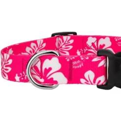Country Brook Petz Pink Hawaiian Deluxe Dog Collar And Leash -Pet Supplies Online GUEST 9a92fde2 b811 45cd 84ba 5a67b74f26f7