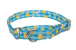 Country Brook Petz Just Ducky Martingale Dog Collar -Pet Supplies Online GUEST 9a9738d4 8480 4312 90ad a1fd486b5645