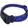 Country Brook Petz Deluxe Dog Collar - Floral Collection