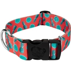 Country Brook Petz 1 1/2 Inch Deluxe Tropical Tango Dog Collar -Pet Supplies Online GUEST 9d2295d1 bc47 4889 9642 097a755a28f1