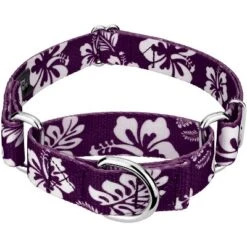 Country Brook Design - Purple Hawaiian Martingale Dog Collar -Pet Supplies Online GUEST 9dfbb122 5650 4413 8470 0e93e184b6ff