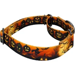 Country Brook Petz Midnight Fright Gunmetal Martingale Dog Collar (1 Inch, Large) -Pet Supplies Online GUEST 9e5c5f6e 1f91 48a5 af05 78b468c2d3c0