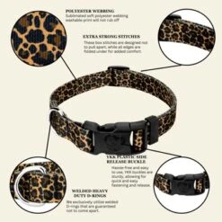 Country Brook Petz Deluxe Leopard Print Dog Collar - Made In The U.S.A. (1/2 Inch, Extra Small) -Pet Supplies Online GUEST 9ec44234 817d 46db 9956 e9bf085e5eaa