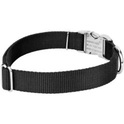 Country Brook Petz Premium Nylon Dog Collar And Leash Set For Small Medium Large Dogs - Vibrant 30+ Color Selection -Pet Supplies Online GUEST a0308f1c 3224 440d 900a fef4a0a48391