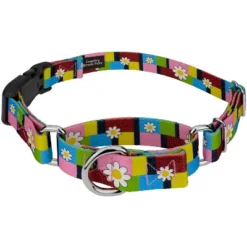 Country Brook Petz Martingale Dog Collar With Deluxe Buckle - Floral Collection -Pet Supplies Online GUEST a16424be 404f 4460 99ae 1ac876fda860