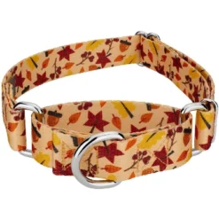 Country Brook Petz Fall Foliage Martingale Dog Collar -Pet Supplies Online GUEST a40b546c 79e5 42a6 aee4 0126c8af826e