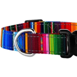 Country Brook Petz Deluxe Serape Reflective Dog Collar And Leash -Pet Supplies Online GUEST a425a4fd 5198 4f02 960b 481f4e589abd