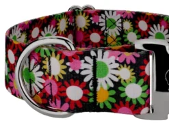 Country Brook Petz HossFit Jr Wide Premium Dog Collar - Floral Collection -Pet Supplies Online GUEST a43f3e2b 7cbb 495f bdd6 07ffde099a1c