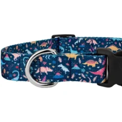 Country Brook Petz Deluxe Dinosaurs Dog Collar And Leash 11 Country Brook Petz Deluxe Dinosaurs Dog Collar And Leash -Pet Supplies Online GUEST a467db44 d906 470a b6ec 7052000a4e50