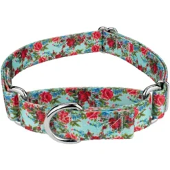 Country Brook Petz Vintage Roses Martingale Dog Collar -Pet Supplies Online GUEST a49e023b e147 43a3 a357 994e15ab753c
