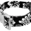 Country Brook Petz 1 1/2 Inch Premium Black Hawaiian Dog Collar