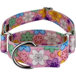 Country Brook Petz 1 1/2 Inch May Flowers Martingale Dog Collar -Pet Supplies Online GUEST a4be1e04 3875 4b1a b2ad ab1b010e40c8