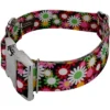 Country Brook Petz HossFit Jr Wide Premium Dog Collar - Floral Collection -Pet Supplies Online GUEST a4e9f617 7e4b 4918 aca0 856a60cb8344