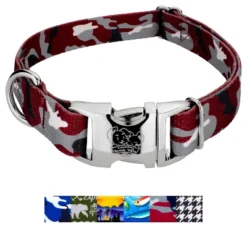 Country Brook Petz Premium Dog Collar - Sports And Athletics Collection -Pet Supplies Online GUEST a4ed774e f35b 4a9b 9b3e a2ad02a00099