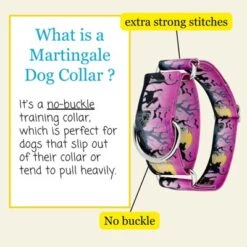 Country Brook Petz HossFit Jr Wide Martingale Dog Collar - Halloween Collection