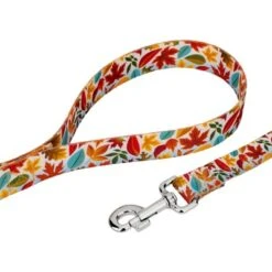 Country Brook Petz Deluxe Collar And Leash - Awesome Autumn Collection -Pet Supplies Online GUEST a67ee765 df1d 4a7c b595 286e42283782 3